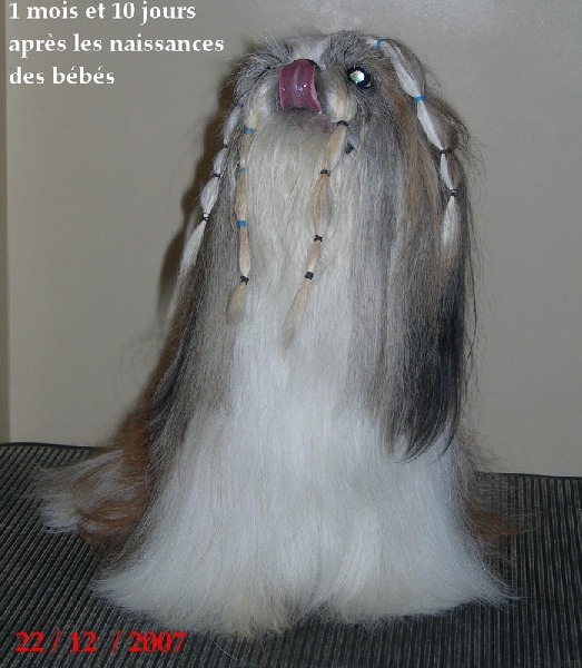 CH. Rev 'elle 'action de morganan' dho